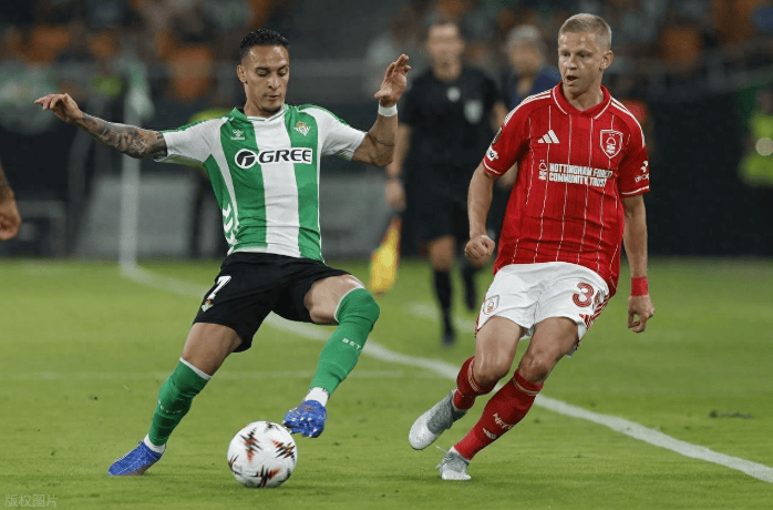 他敏锐前插, ae 他敏锐前插, ae